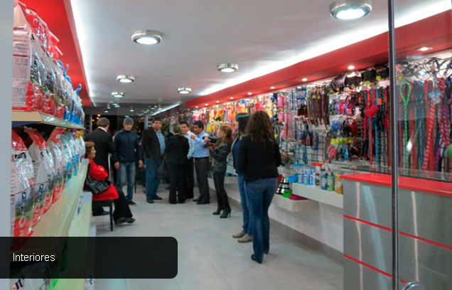 Proyecto Veterinaria Small Friends